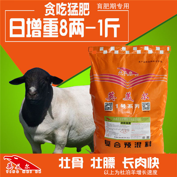 羊的饲料有哪些羊催肥增重产品羊饲料品牌图片