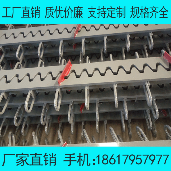 淮北橋梁伸縮縫圖片