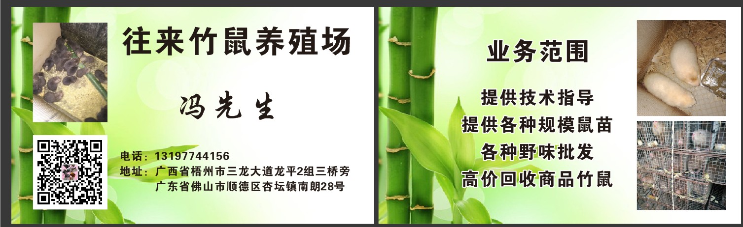 竹鼠種苗圖片/竹鼠種苗樣板圖 (3)