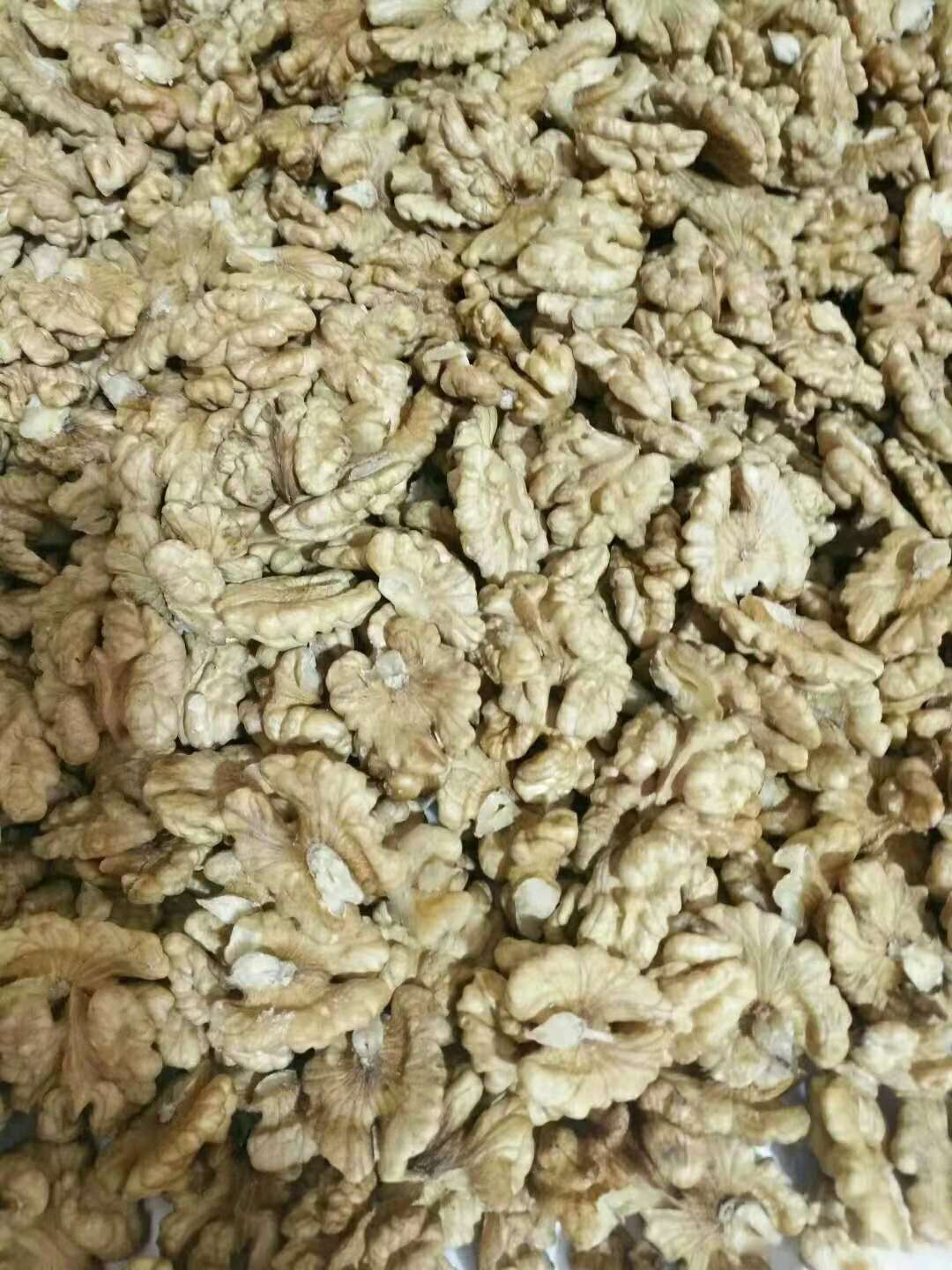 核桃仁圖片/核桃仁樣板圖 (3)