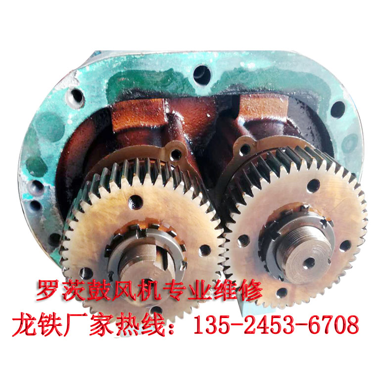 羅茨鼓風(fēng)機維修圖片/羅茨鼓風(fēng)機維修樣板圖 (4)