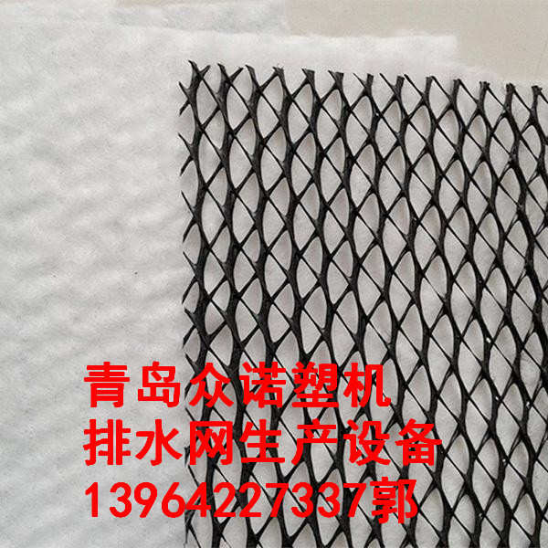 廠家直銷PE塑料排水網(wǎng)設(shè)備 三維網(wǎng)設(shè)備 塑料排水網(wǎng)設(shè)備廠家