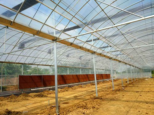 連棟溫室大棚圖片/連棟溫室大棚樣板圖 (3)
