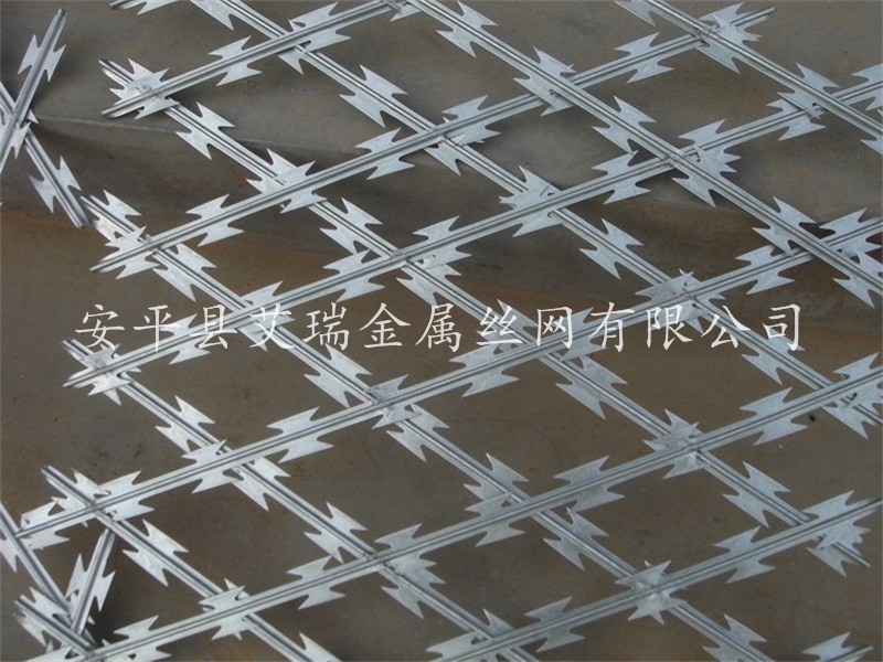 刀刺網(wǎng)圖片/刀刺網(wǎng)樣板圖 (4)