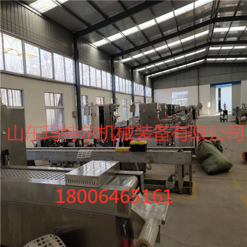 拉伸膜真空包裝機圖片/拉伸膜真空包裝機樣板圖 (1)