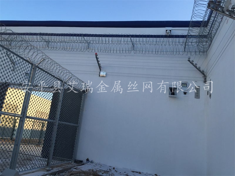 刀刺網(wǎng)圖片/刀刺網(wǎng)樣板圖 (3)