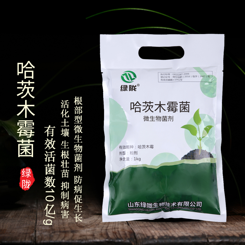 木霉菌圖片/木霉菌樣板圖 (1)