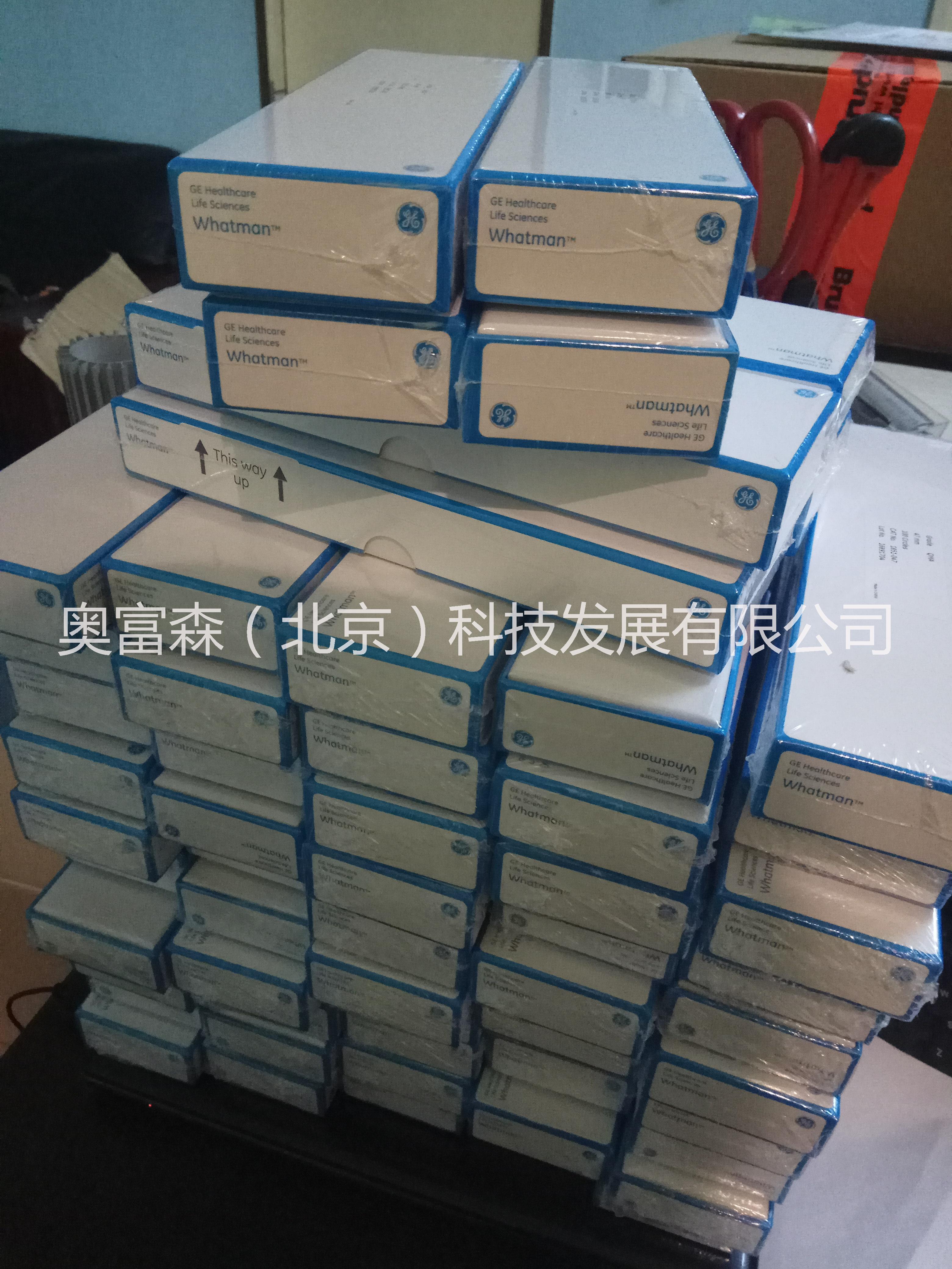 沃特曼濾膜圖片