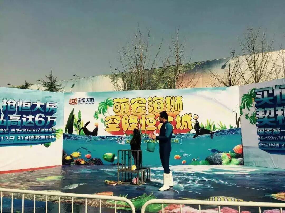 海洋展租賃國內大型動物租賃公司圖片/海洋展租賃國內大型動物租賃公司樣板圖 (2)