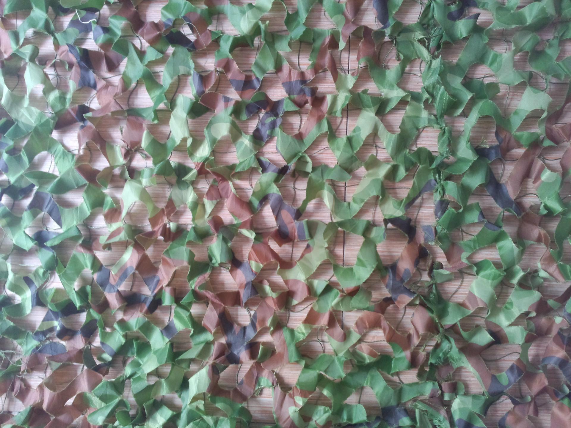 迷彩偽裝網(wǎng)廠家圖片/迷彩偽裝網(wǎng)廠家樣板圖 (3)