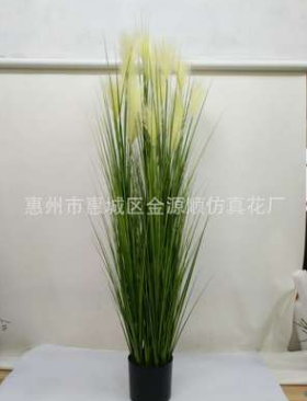 狗尾草仿真草 狗尾草仿真草生產(chǎn)廠(chǎng)家 狗尾草仿真草哪家好 狗尾草仿真草供應(yīng)商