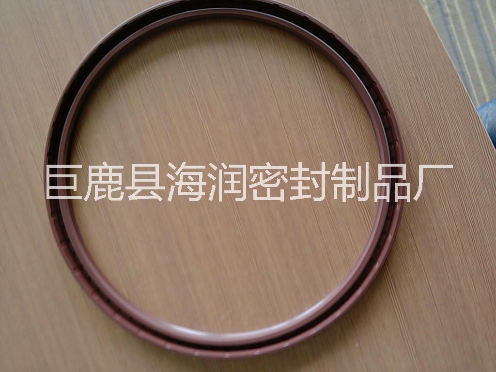 氟橡膠骨架油封圖片/氟橡膠骨架油封樣板圖 (1)