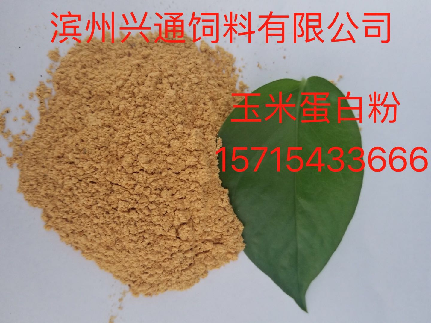 玉米蛋白飼料圖片/玉米蛋白飼料樣板圖 (1)