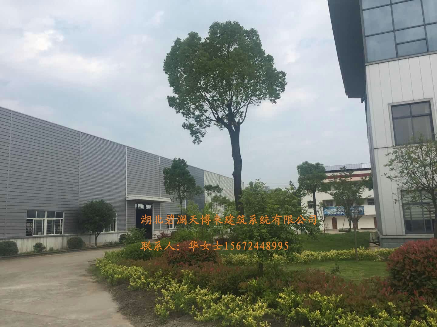 YX38-192-762圖片/YX38-192-762樣板圖 (3)