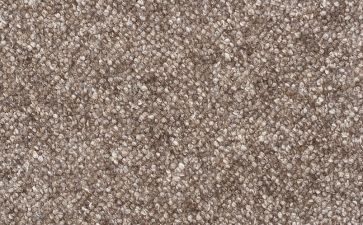 壽寧紅圖片/壽寧紅樣板圖 (3)