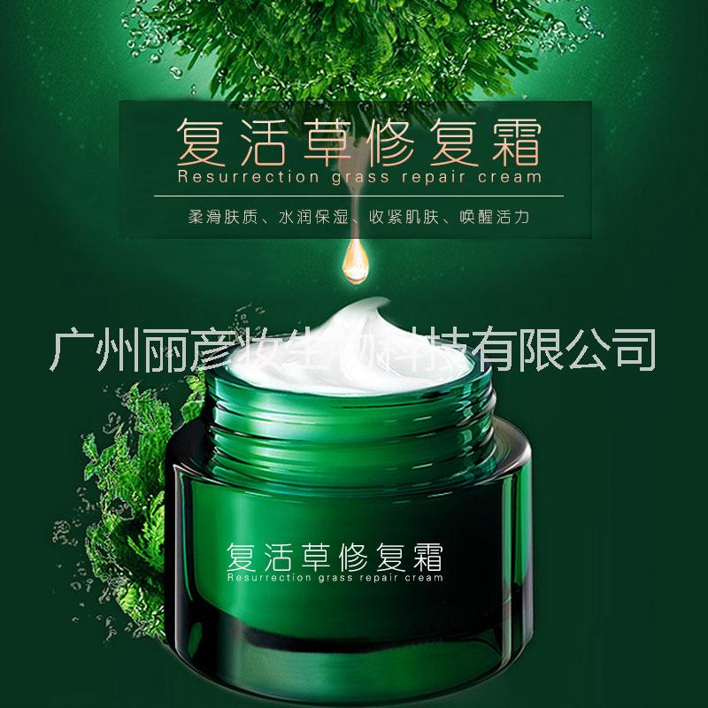 復活草修復霜圖片/復活草修復霜樣板圖 (1)