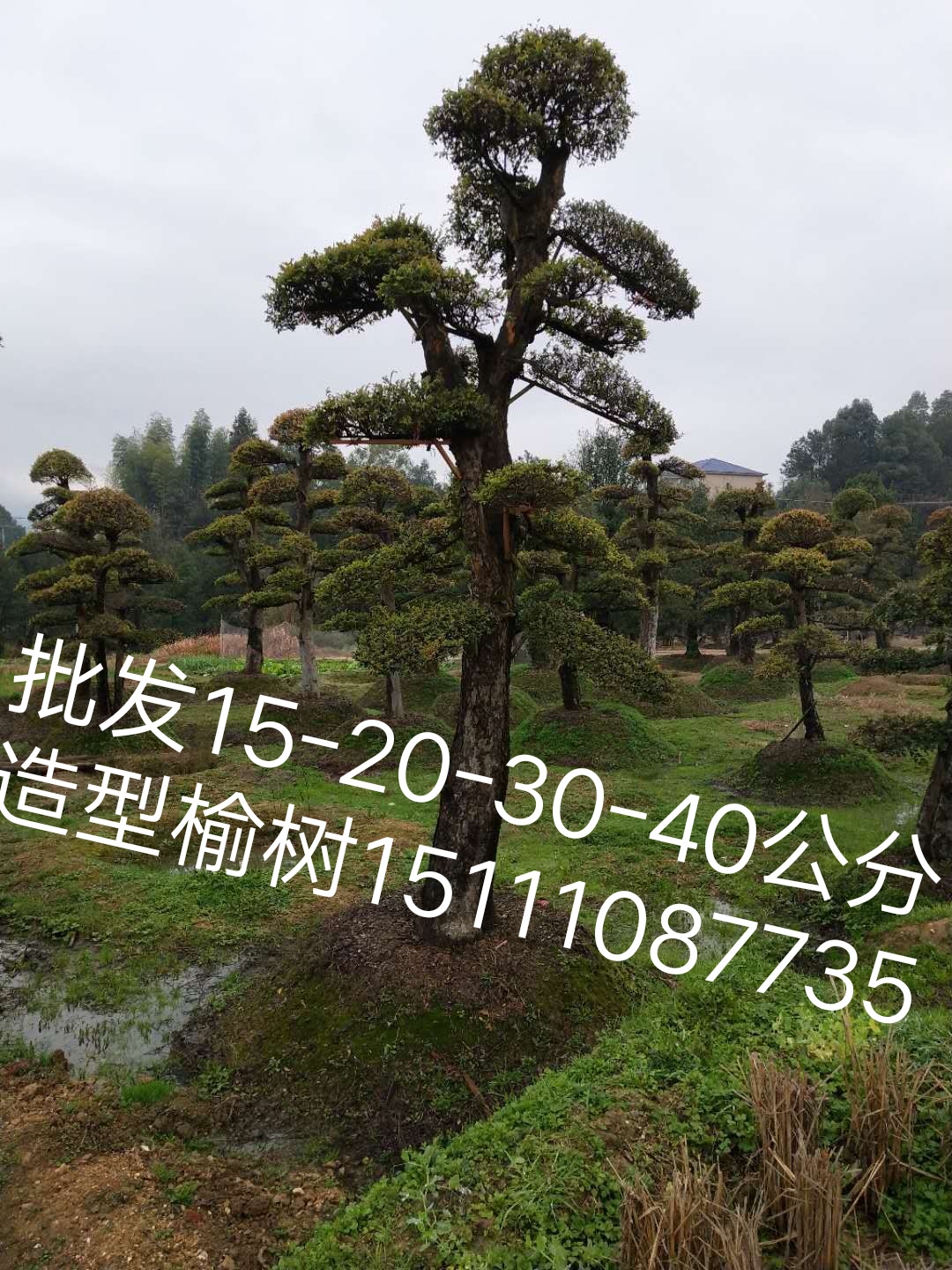 直銷精品圖片/直銷精品樣板圖 (1)