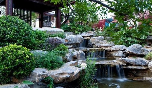 錦鯉魚池圖片/錦鯉魚池樣板圖 (1)