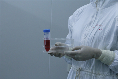 干細(xì)胞圖片/干細(xì)胞樣板圖 (2)