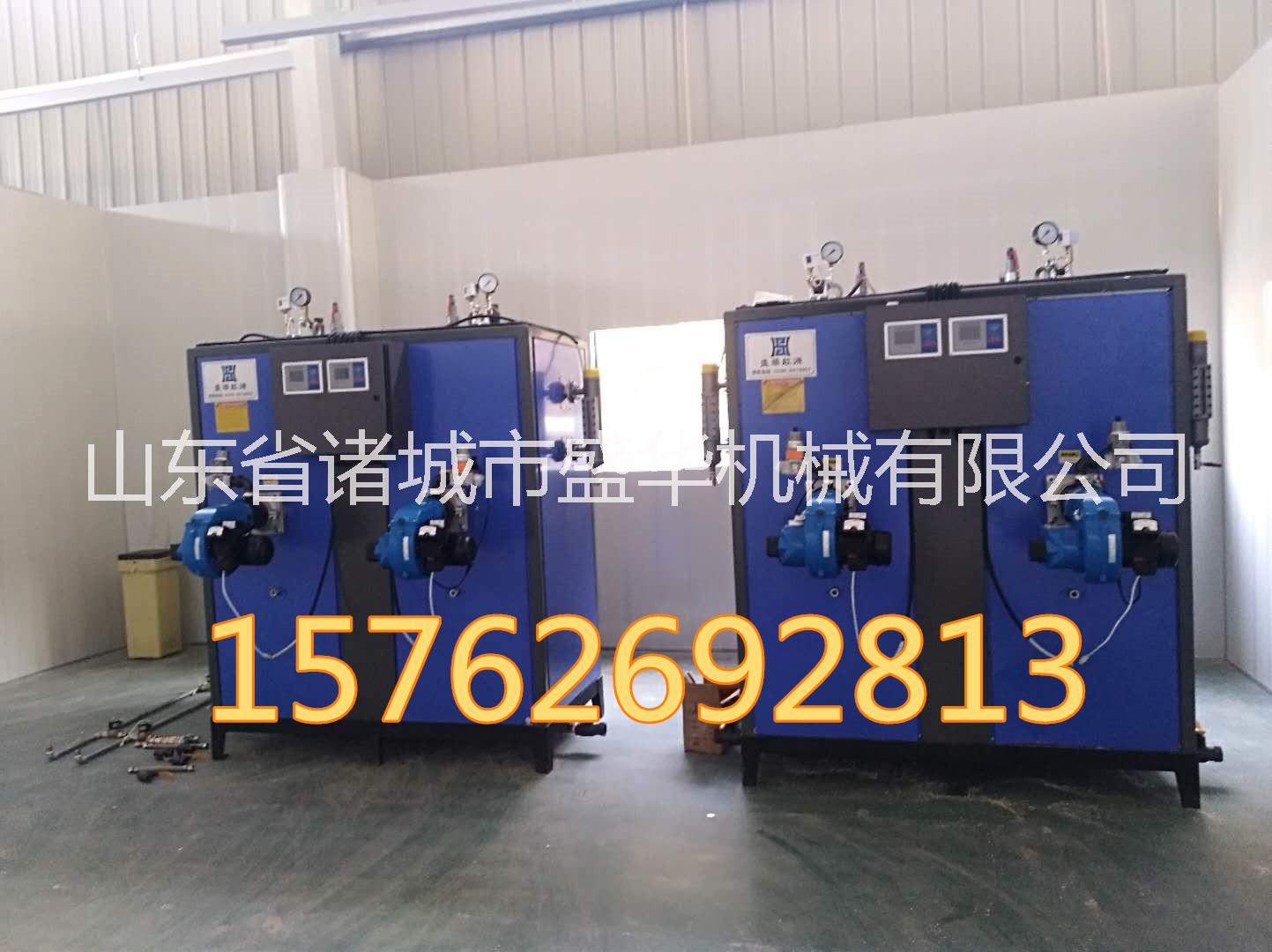 盛華0.6T燃氣蒸汽發(fā)生器圖片