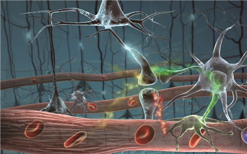 保存干細胞圖片