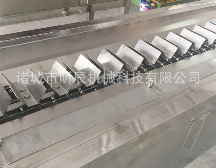 凍玉米圖片/凍玉米樣板圖 (4)