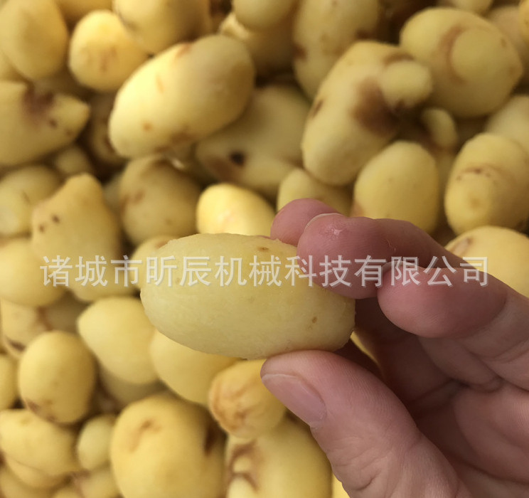 姜去皮機(jī)圖片/姜去皮機(jī)樣板圖 (3)