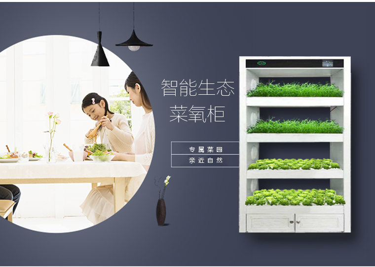 無土栽培圖片/無土栽培樣板圖 (2)