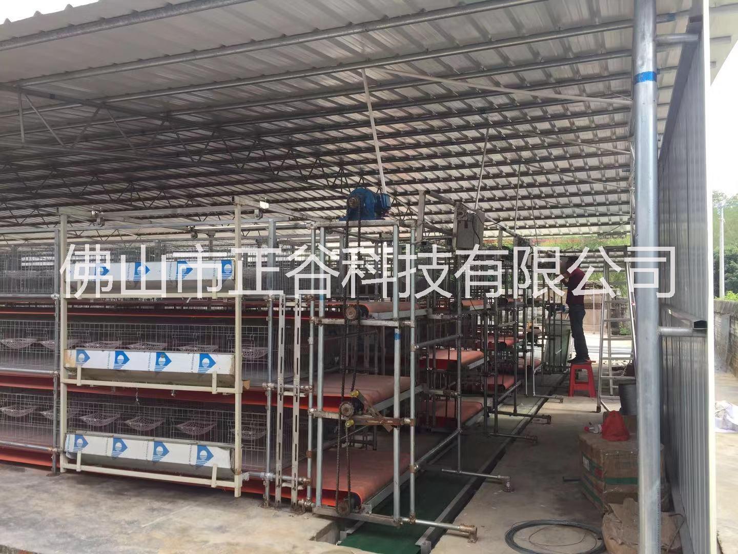 自動喂料清糞機 正谷機械圖片/自動喂料清糞機 正谷機械樣板圖 (2)
