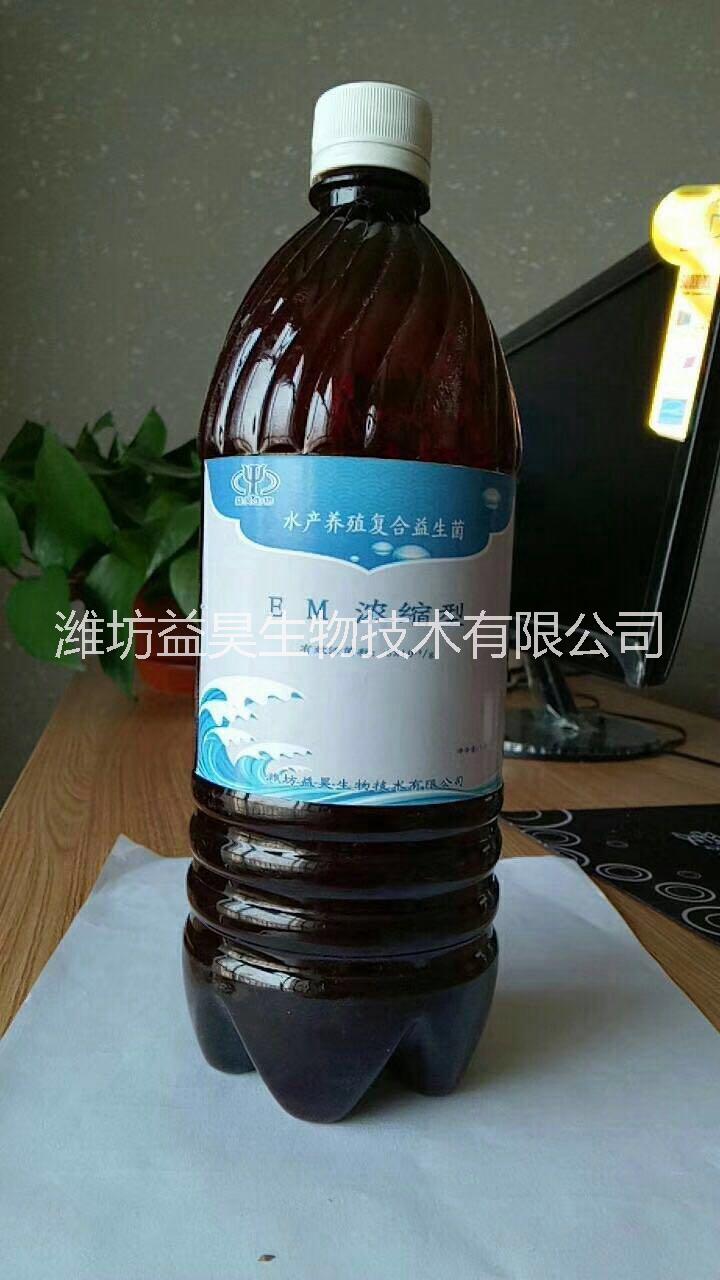 水产em菌原液养虾调水肥水防病促长em菌图片