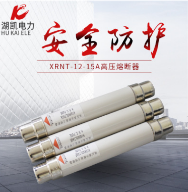 XRNT-10高压熔断器户内负荷开关专用熔芯厂家直销 高压熔断器开关图片