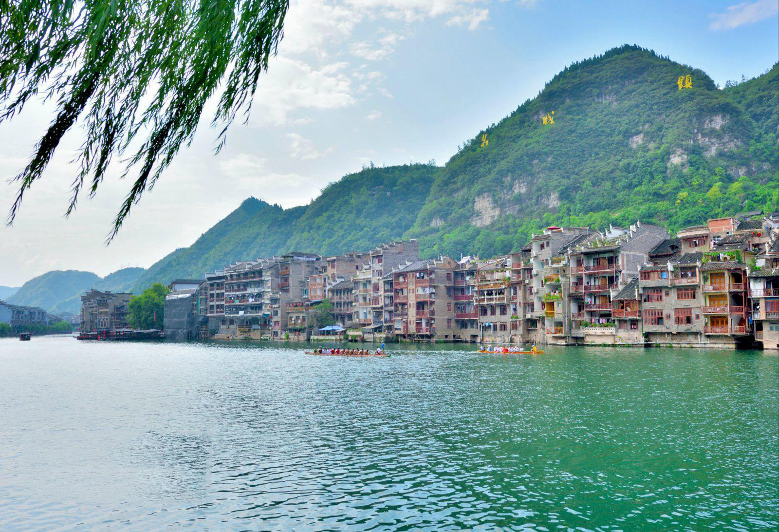 百里杜鵑圖片/百里杜鵑樣板圖 (3)