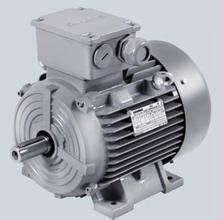 高效電機(jī)圖片/高效電機(jī)樣板圖 (3)