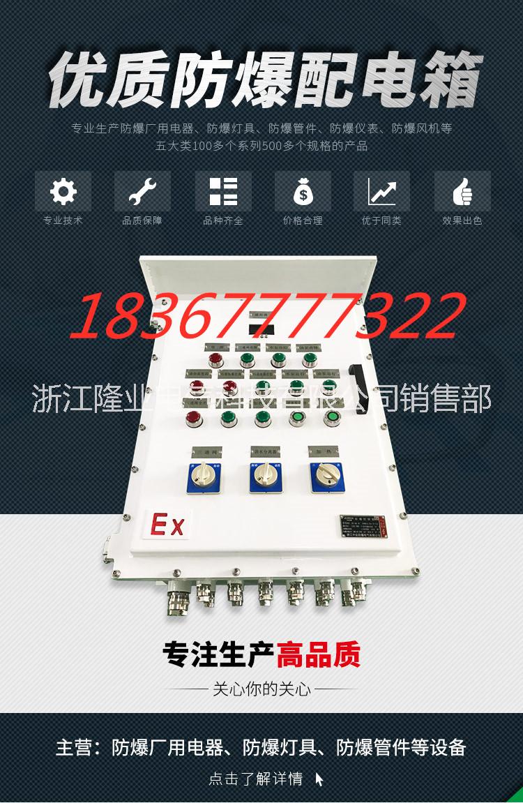 防爆配電箱圖片/防爆配電箱樣板圖 (2)