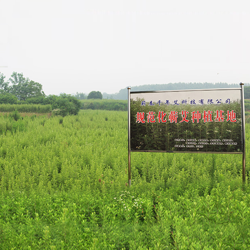 艾根圖片/艾根樣板圖 (3)