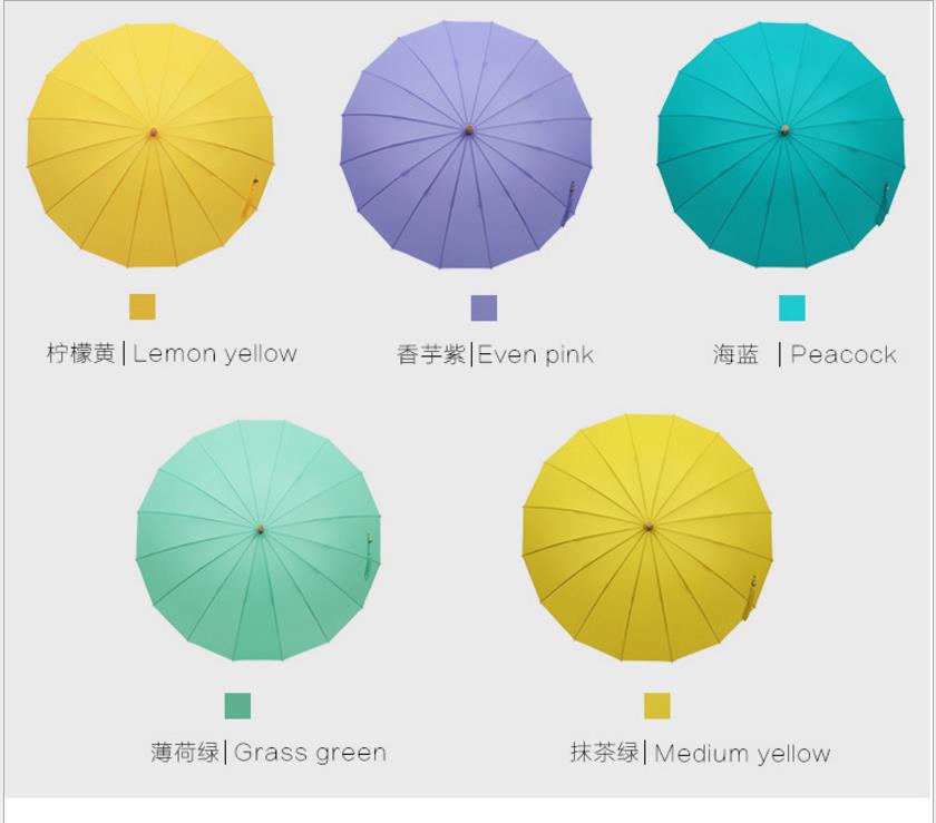 晴雨傘圖片/晴雨傘樣板圖 (3)