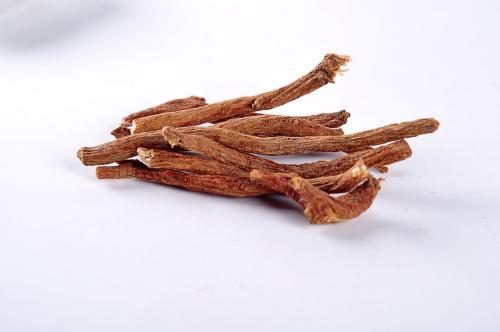 丹參圖片/丹參樣板圖 (2)