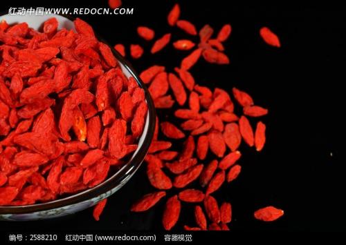 枸杞圖片/枸杞樣板圖 (2)