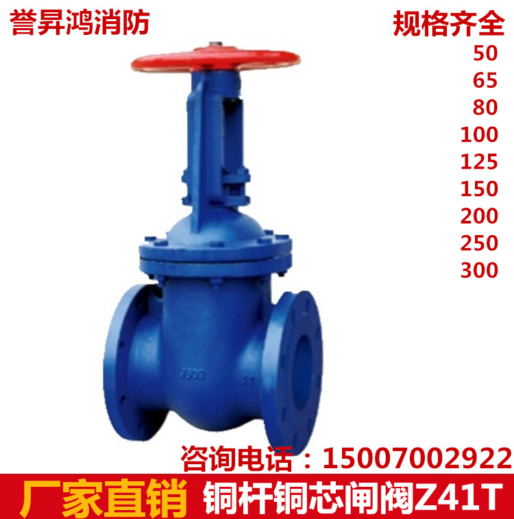 南昌西湖區(qū)廠家閩山銅桿銅芯閘閥Z41T 爭(zhēng)一明桿法蘭閘閥 防護(hù)65閥門