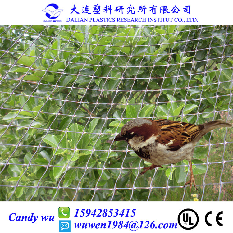 塑料雙向拉伸網(wǎng)植物攀藤網(wǎng)防鳥(niǎo)網(wǎng)生