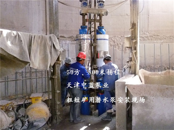 礦用潛水泵圖片/礦用潛水泵樣板圖 (3)