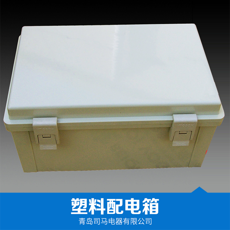 塑料配電箱 塑料配電箱價(jià)格 防水配電箱 現(xiàn)貨供應(yīng) 品質(zhì)保證