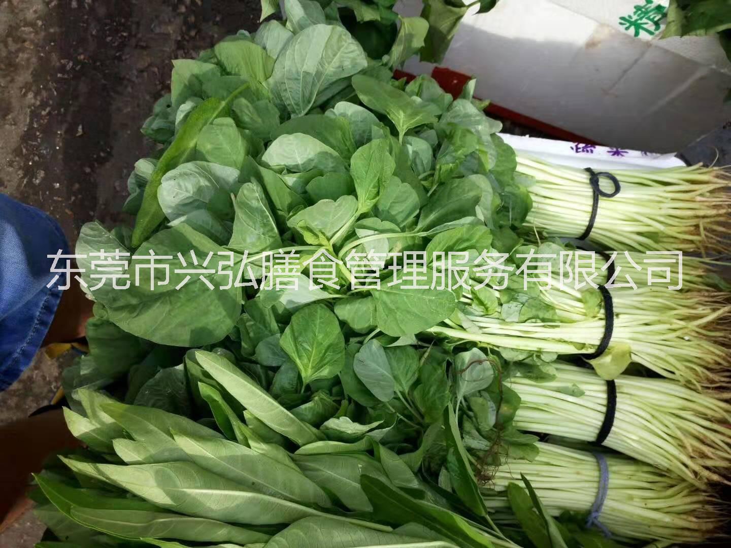 東莞食堂承包圖片