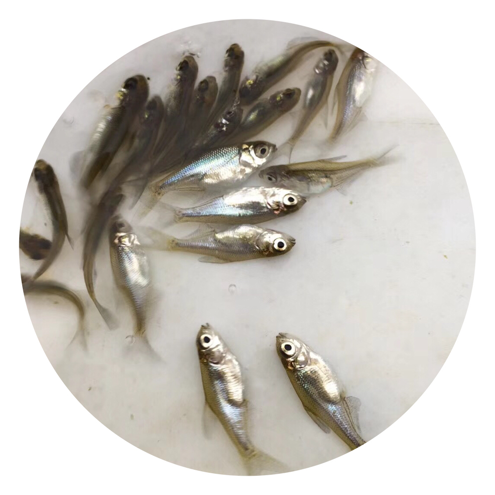 武昌圖片/武昌樣板圖 (3)