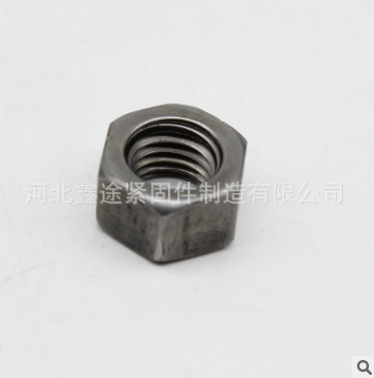 六邊螺母螺帽    河北六邊螺母螺帽供應(yīng)商 河北六邊螺母螺帽哪家好 河北六邊螺母螺帽供直銷 河北六邊螺母螺帽批發(fā)