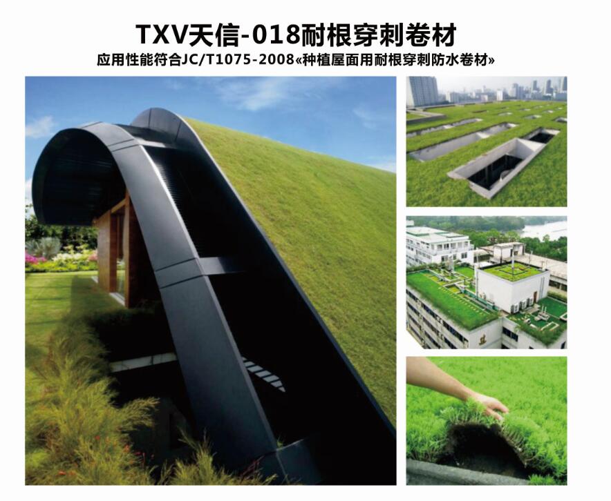 耐根穿刺防水卷材圖片/耐根穿刺防水卷材樣板圖 (4)