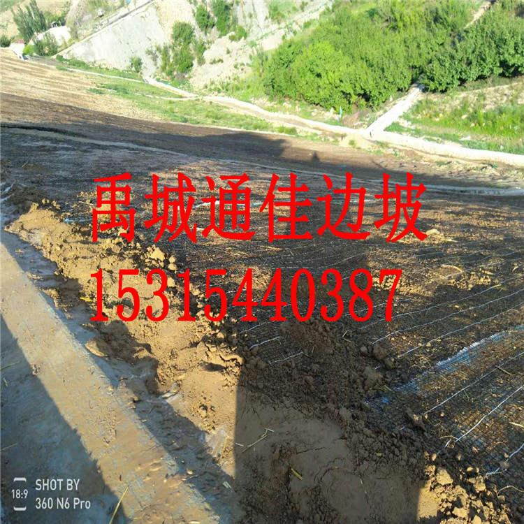 定制加工四川成都河道護(hù)坡加筋生態(tài)毯 抗沖生態(tài)毯