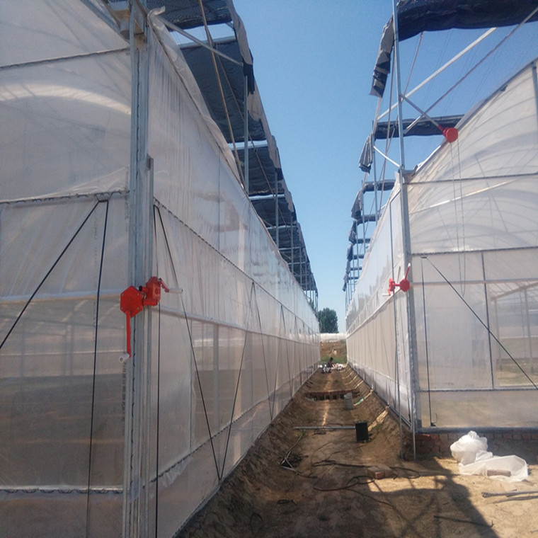 薄膜溫室大棚圖片/薄膜溫室大棚樣板圖 (2)