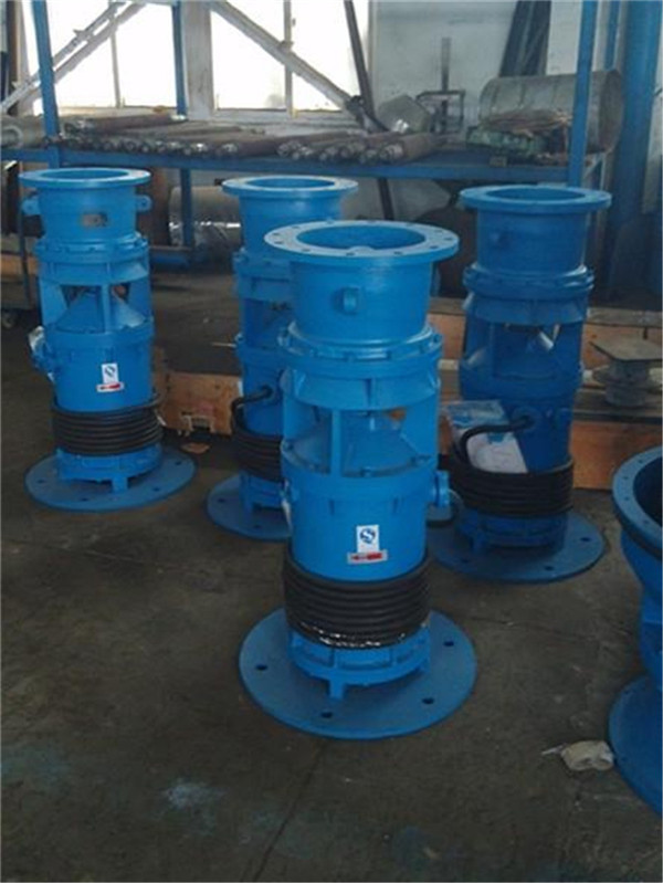 潛水軸流泵圖片/潛水軸流泵樣板圖 (4)