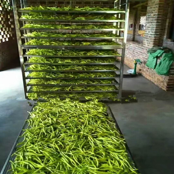 黃花菜烘干圖片/黃花菜烘干樣板圖 (2)